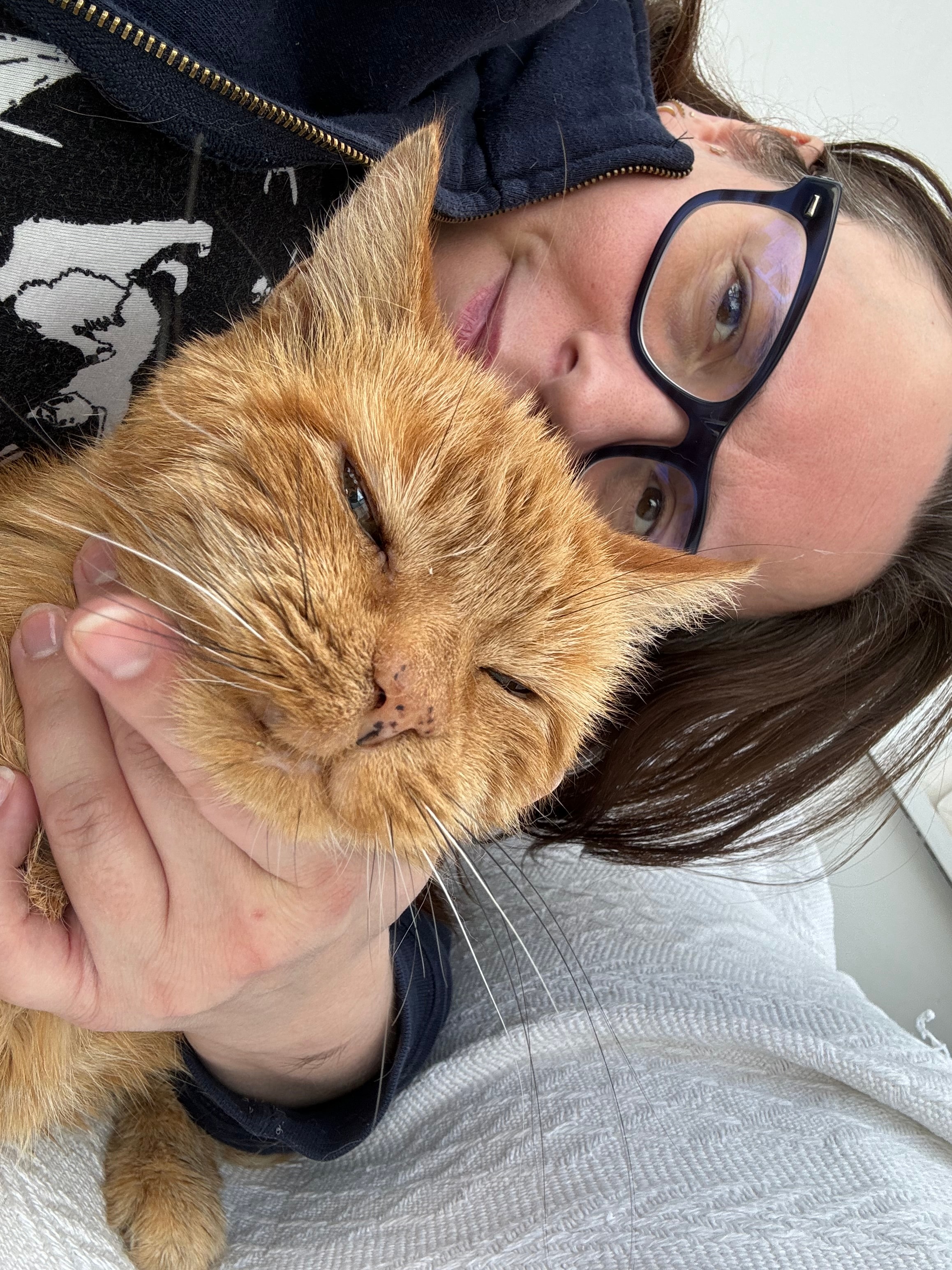 Geoff, cared for by 99 Cats